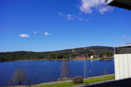 Bild av närområdet