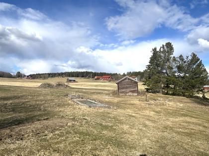 Bild av närområdet