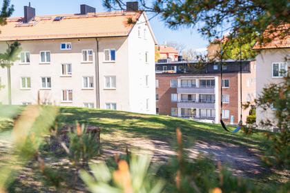 Bild av närområdet