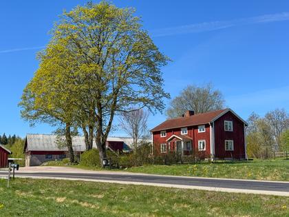 Bild av närområdet