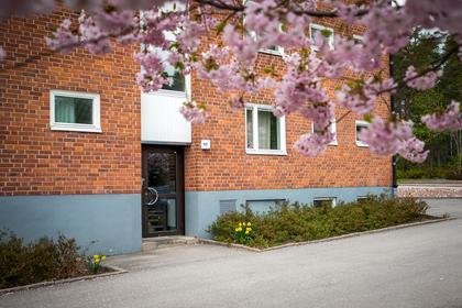 Exteriörbild
