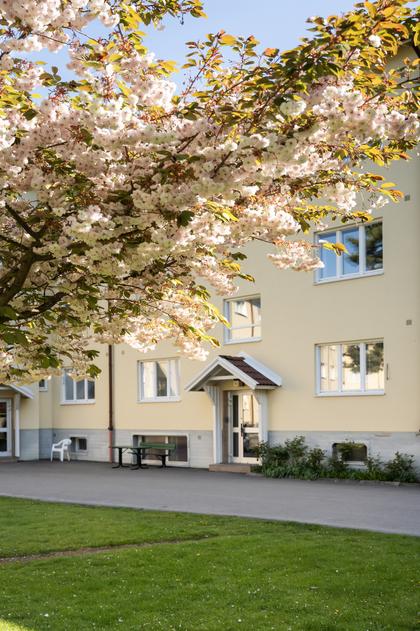 Exteriörbild