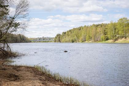 Bild av närområdet