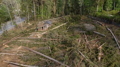 Illustrerad karta över fastigheten eller området