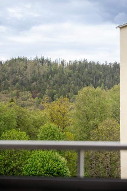 Balkong eller utsiktsbild