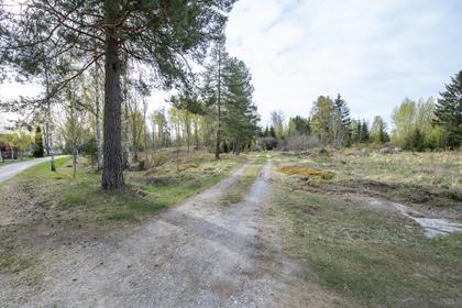 Bild av närområdet