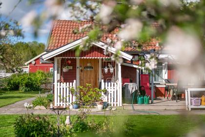 Bild av närområdet