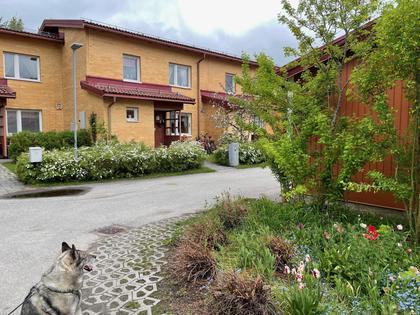 Stävgränd 65, Ersboda