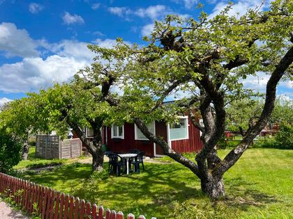 Kolonistuga Krusbärsvägen 95, Johannelund