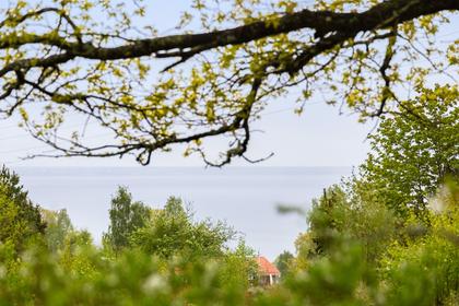 Sandvik 29, Stjärnorp