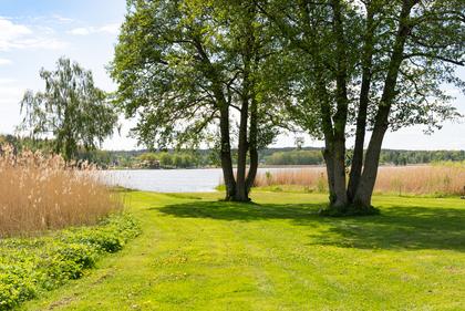 Bild av närområdet