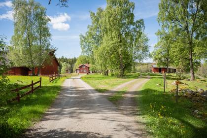 Bild av närområdet
