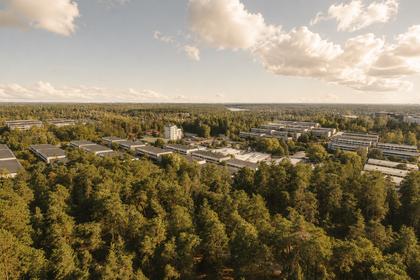 Bild av närområdet