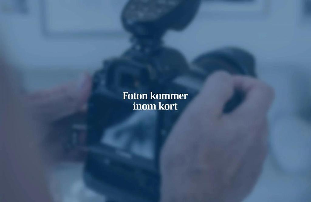 Fabrikören