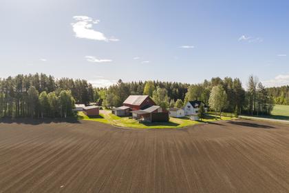 Bild av närområdet