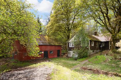 Exteriörbild