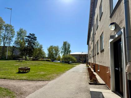 Bild av närområdet