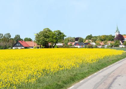 Bild av närområdet