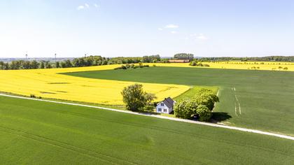 Bild av närområdet