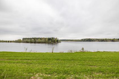Bild av närområdet