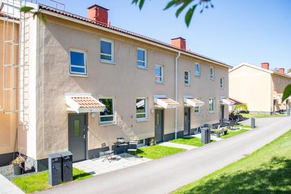 Bild av närområdet