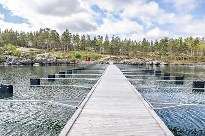 Bild av närområdet