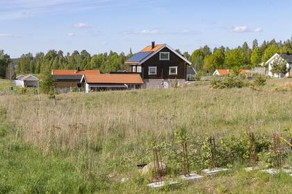 Bild av närområdet