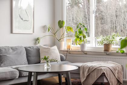 Tuvgatan 52, Vidingsjö