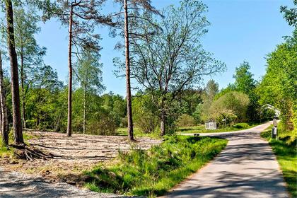 Bild av närområdet