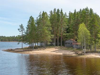 Bild av närområdet