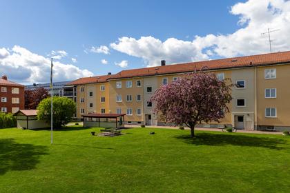 Exteriörbild