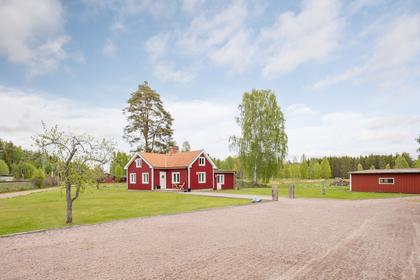 Bild av närområdet