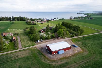 Bild av närområdet