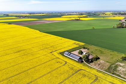 Västra Virestads Byaväg 75-11, Västra Virestad