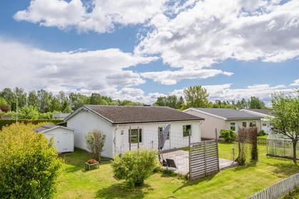Skogsvägen 37A, Paradiset