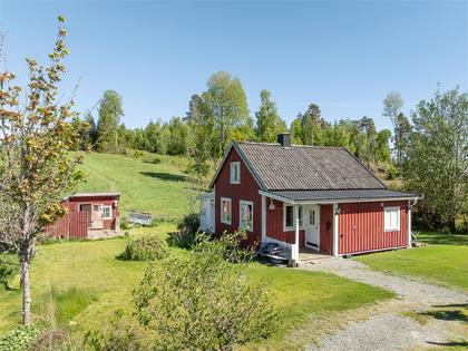 Björstad 1, Färgelanda
