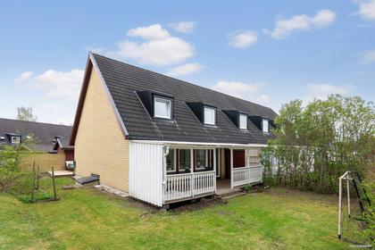 Renskullen 27, Ren
