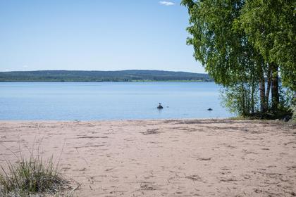 Bild av närområdet
