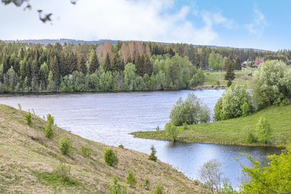 Bild av närområdet