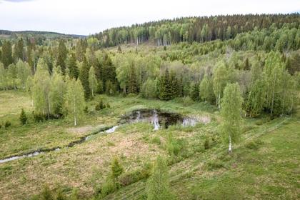 Skräklevägen 168, Ljusdal