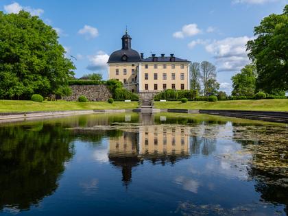 Bild av närområdet