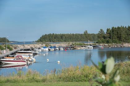 Bild av närområdet