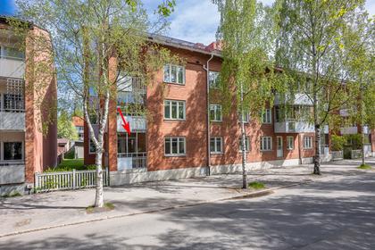 Bild av närområdet