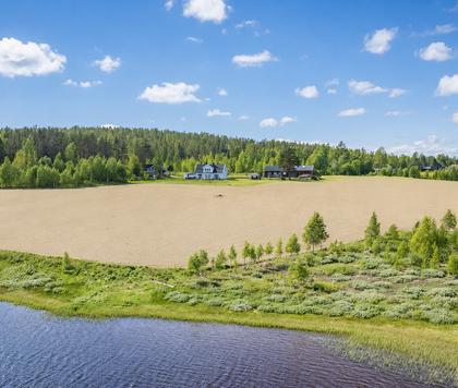Bild av närområdet