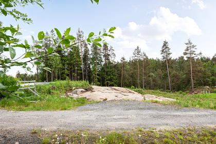 Bild av närområdet