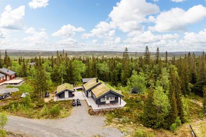 Bild av närområdet