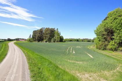 Bild av närområdet