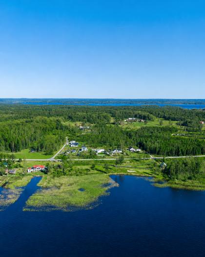 Bild av närområdet