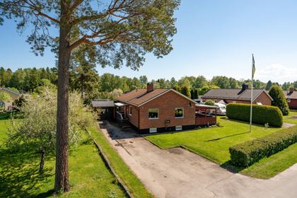 Bild av närområdet