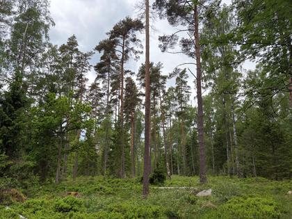 Adress saknas, Strömsnäsbruk